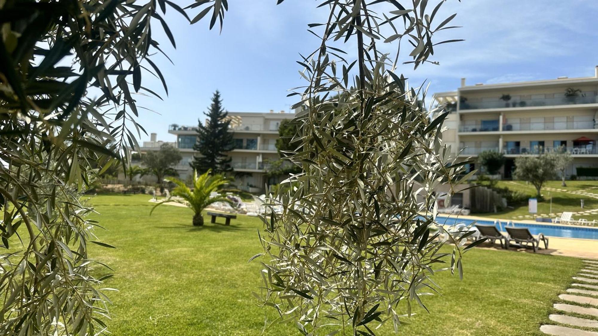 Charmant Appartement A 1Km De La Plage, Avec Piscine A Albufeira Ngoại thất bức ảnh